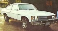 1976 Buick Skylark.jpg