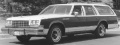 1977 Buick Estate Wagon.jpg